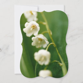 Weiße Lilie des Tals (Convallaria majalis) Karte