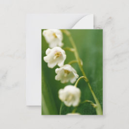 Weiße Lilie des Tals (Convallaria majalis) Mitteilungskarte