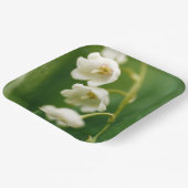 Weiße Lilie des Tals (Convallaria majalis) Pappteller (Gewinkelt)