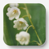 Weiße Lilie des Tals (Convallaria majalis) Pappteller (Vorderseite)