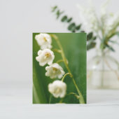 Weiße Lilie des Tals (Convallaria majalis) Postkarte (Stehend Vorderseite)