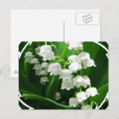 Weiße Lilie des Tals Postkarte (Vorne/Hinten)
