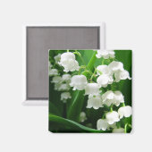 Weiße Lilie des Valley Magnet (Vorderseite/Rückseite)