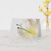 Weiße Lilie mit gelbem Zentrum bei jeder Gelegenhe Karte (Gelbe Blume)