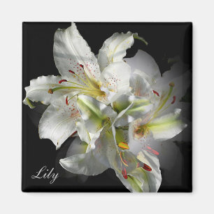 Weiße Lilien Fantasie Magnet