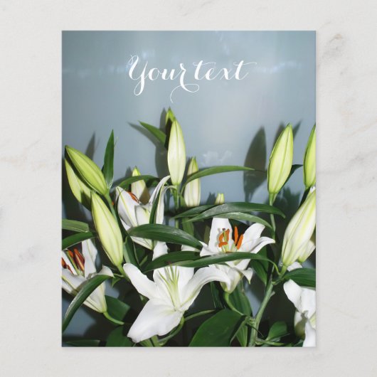 Weiße Lilien Flyer (Vorne)
