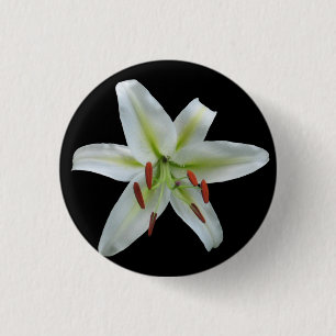 Weiße Lilien-Knopf Button
