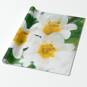 Weiße Lilien - Lilienblume Lilium candidum Geschenkpapier