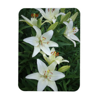 Weiße Lilien Magnet