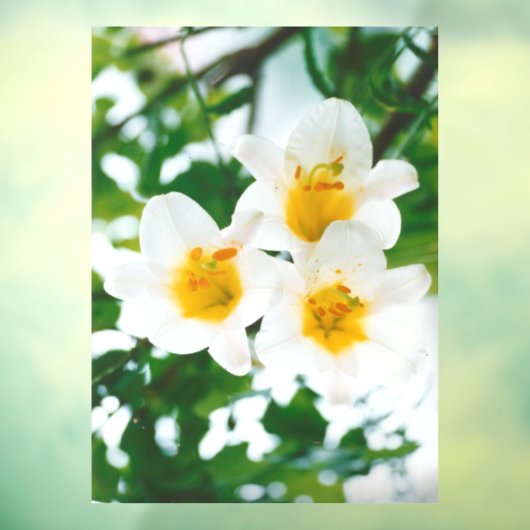 Weiße Lilien - Symbol der Liebe Fensteraufkleber (Blatt 3)