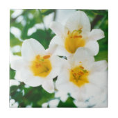 Weiße Lilien - Symbol der Liebe Fliese (Vorderseite)