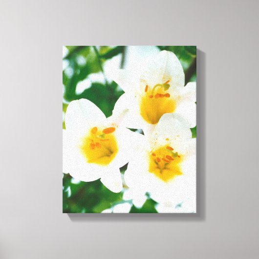 Weiße Lilien - Symbol der Liebe Leinwanddruck (Vorderseite)