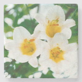 Weiße Lilien - Symbol der Liebe Steinuntersetzer