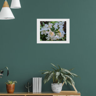 Weiße Lilienblüten florales fotografisches Poster