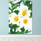 Weiße Liliumkandidat Leinwanddruck (Insitu (Holzboden))