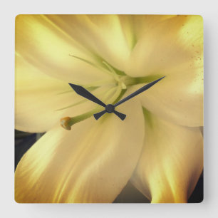 Weiße Lillum-Blume Foto Square Wall Clock Quadratische Wanduhr