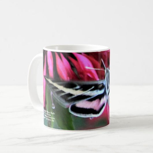 Weiße Linde Sphinx Moth Red Bee Balm Kaffeetasse (Vorderseite Links)