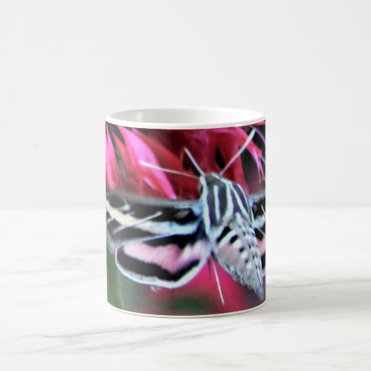 Weiße Linde Sphinx Moth Red Bee Balm Kaffeetasse (Mittel)