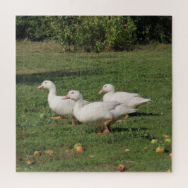 Weiße Linsen, Enten auf der Wiese, gesund essen Puzzle
