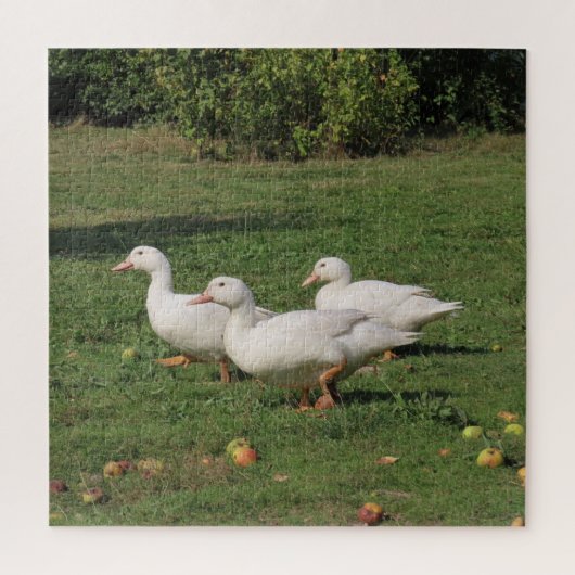 Weiße Linsen, Enten auf der Wiese, gesund essen Puzzle (Vertikal)