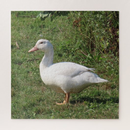 Weiße Linsen, Enten auf der Wiese, gesund essen Puzzle (Vertikal)