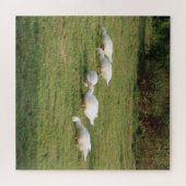 Weiße Linsen, Enten auf der Wiese, gesund essen Puzzle (Horizontal)