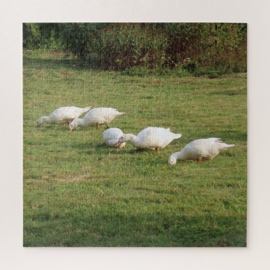 Weiße Linsen, Enten auf der Wiese, gesund essen Puzzle (Vertikal)