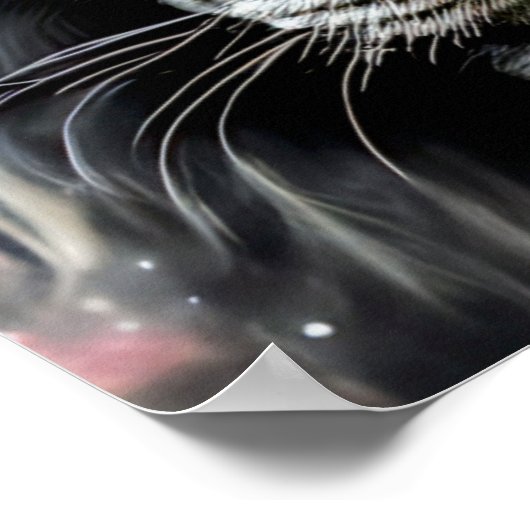 Weiße Lion Poster (Ecke)