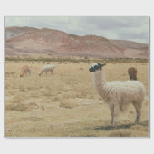 WEISSE LLAMA AUF BROWN GRASS GESCHENKPAPIER (Flach)