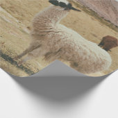 WEISSE LLAMA AUF BROWN GRASS GESCHENKPAPIER (Ecke)