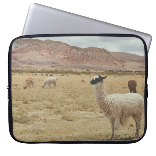 WEISSE LLAMA AUF BROWN GRASS LAPTOPSCHUTZHÜLLE (Vorderseite)