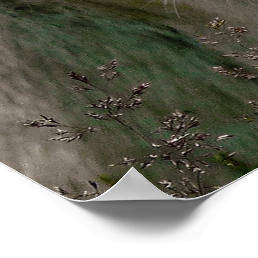 WEISSE LÖSUNGEN POSTER (Ecke)