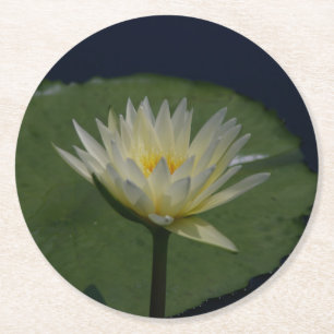 Weiße Lotus-Seerose Runder Pappuntersetzer