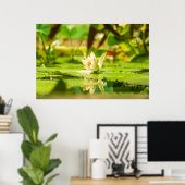 Weiße Lotus-Wassergartenposter Poster (Heimbüro)