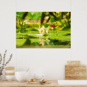 Weiße Lotus-Wassergartenposter Poster (Küche)