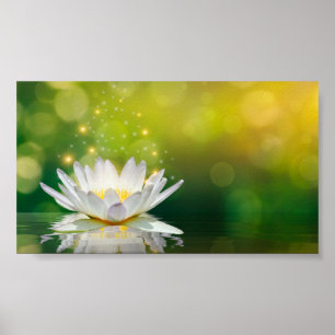 Weiße Lotusblumenlandschaft, Zen Poster