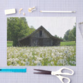 Weiße Lüster, die einen müde aussehenden Stall unt Seidenpapier (Handwerk)