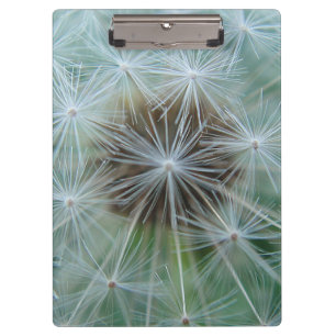 Weiße Lüster Klemmbrett