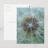 Weiße Lüster Postkarte (Vorne/Hinten)