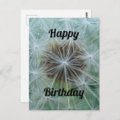 Weiße Lüster Postkarte (Vorne/Hinten)