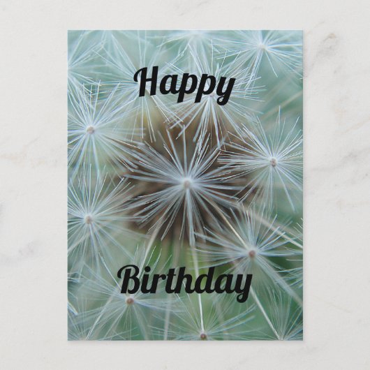 Weiße Lüster Postkarte (Vorderseite)