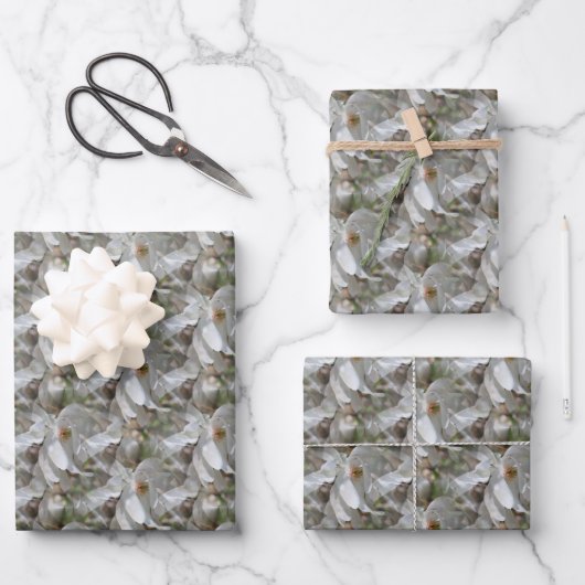Weiße Magnolia-Blume blüht Natur   Geschenkpapier Set (Vorderseite)