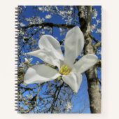Weiße Magnolia-Blume in Bäumen. Notizblock (Vorderseite)