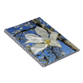 Weiße Magnolia-Blume in Bäumen. Notizblock (Rechte Seite)