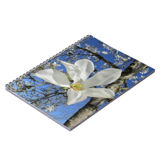 Weiße Magnolia-Blume in Bäumen. Notizblock (Linke Seite)