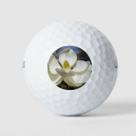 Weiße Magnolia-Blume und Biene Golfball