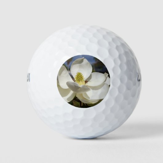 Weiße Magnolia-Blume und Biene Golfball (Vorderseite)