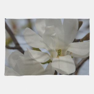 Weiße Magnolie Blühen im Frühling Handtuch