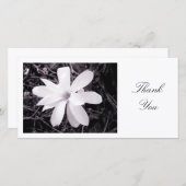 Weiße Magnolie - danke (Vorne/Hinten)