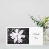 Weiße Magnolie - danke (Stehend Vorderseite)